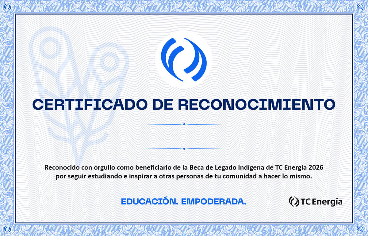 Certificate preview
