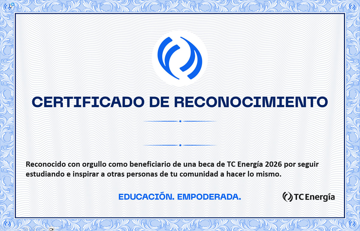 Certificate preview