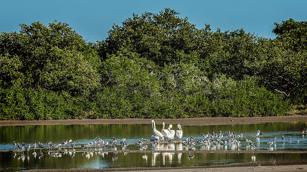 tcmx-cuidadodelagua-1200x675.jpg