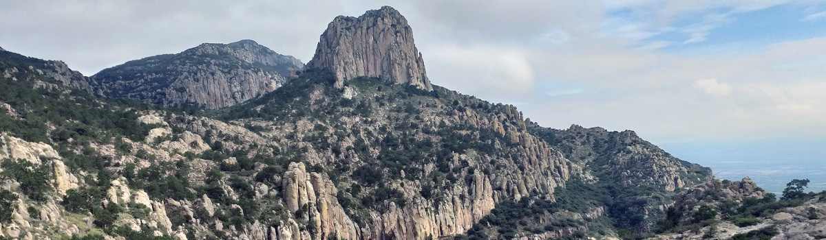 Apoyando la biodiversidad en México