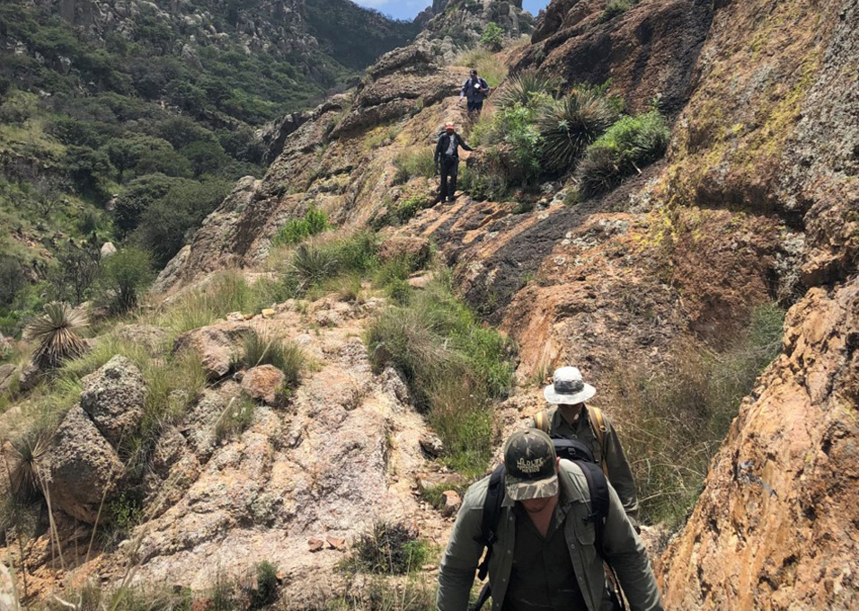 Apoyando la biodiversidad en México