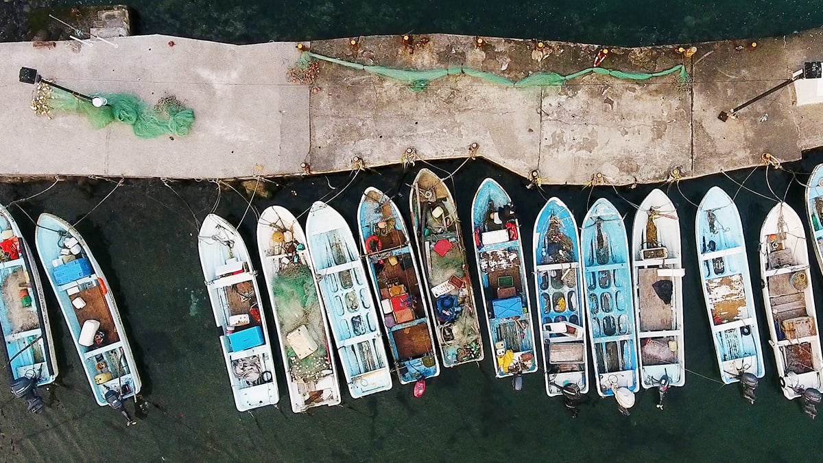 Marina, boats tied up.